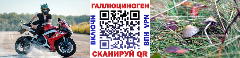 где купить   ссылка на мегу ТОР  Псилоцибиновые грибы Psilocybine cubensis  Семилуки 